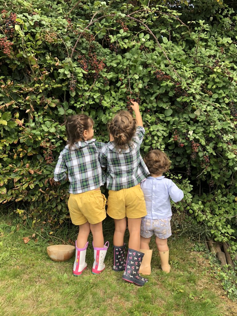 blackberry picking . an activity for all the family to enjoy . www.thebabycloset.ie